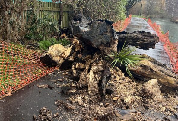 WDCO Website Documentation